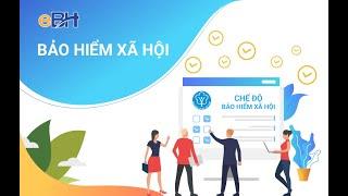 Thời sự trưa 2/11/2024 |Quyết liệt thu nợ bảo hiểm xã hội