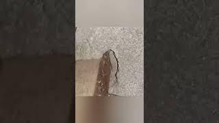 wrong wiring