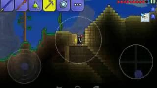 Где найти ковёр-самолёт в Terraria