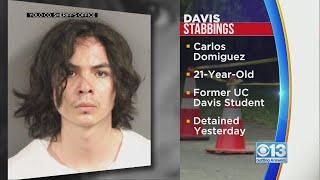 From student to suspected serial killer: Carlos Dominguez arrested in connection to Davis stabbings