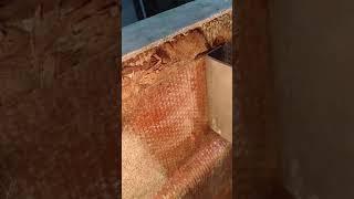 Max Bond Epoxy