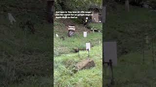 Halloween special at the range