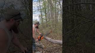#chainsaw #ported #sislerbuilt #farmertec #neotech NS872 #fyp  smaller wood
