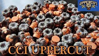 CCI UPPERCUT - THE BEST 22LR SELF-DEFENSE AMMO EVER MADE?