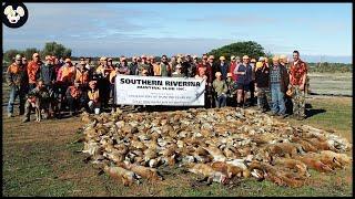 How Australian Farmers Deal With Thousands Of Invasive Foxes