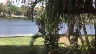 View of Lake from Living Room of 3451 Spring Bluff Place