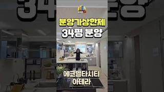 분양가상한제 초품아 합리적 분양가 아파트라고?(에코델타시티 아테라)