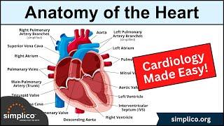 Anatomy of the Heart: Structures and Blood Flow [Cardiology Made Easy]