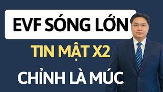 Chứng khoán hôm nay | Nhận định thị trường | Tin Hot cổ phiếu EVF Chỉnh là múc. Phân tích tiềm năng