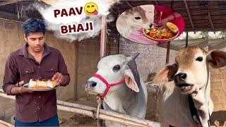 Baby Cow Vrinda Tries Pav Bhaji for the First Time! || Feeding Pav Bhaji to My Cows!