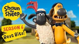  Shaun the Sheep Season 6:  40 Minute Ultimate Fun Compilation for Kids! 