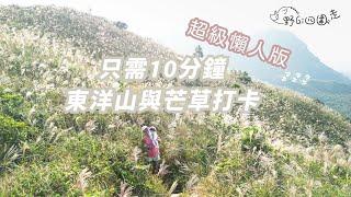 10分鐘到達芒草山 | 東洋山芒草 | 超級懶人法 | 最新芒草狀況 | 帶埋毛孩去打卡 | 最近市區的芒草山 | 航拍 | 4K |打卡好去處 | 攝影好去處 | 拍拖好去處 | 山野無痕