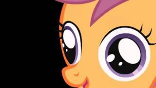 [10 MIN] Scootastep