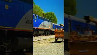Amtrak Train USA #shorts