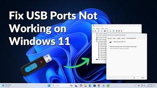 How to Fix USB Ports Not Working on Windows 11