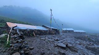 Peaceful and super chill life of Nepali yak herders in the Himalayas | Daily Routine of Yak Herdsmen