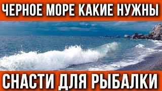 Снасти для рыбалки на Черном море. Что взять в отпуск?