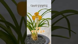 첫 등장부터 예사롭지 않는 무명 주금화