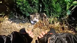 The homeless kitten meowed pitifully to catch the cyclist’s attention, hoping to be taken along.️