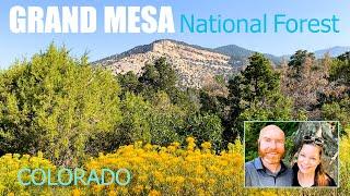 Grand Mesa National Forest | Wildlife, Paragliders, and More on the Worlds Largest Mesa in Colorado