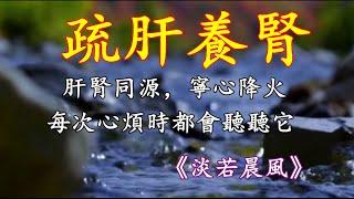 五音療疾丨寧心降火淨腦安神；每次心煩時都會聽聽它《淡若晨風》