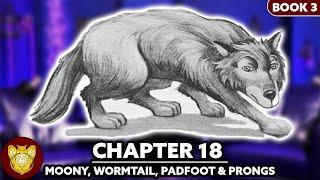 Chapter 18: Moony, Wormtail, Padfoot and Prongs | Prisoner of Azkaban