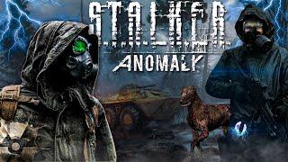 ОСНОВНОЙ СТРИМ НА КАНАЛЕ  #stalker  #shorts #4060ti #anomaly