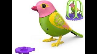 Игрушка птичка в клетке Digi Birds (Дигибердс) - интерактивная
