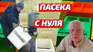 Как начать пасеку с нуля Как завести пчел