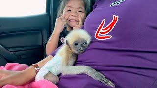 Pretty Bella Make A Funny Face Trying Her Best To Bring Smile For Po0r Gibbon & Mom