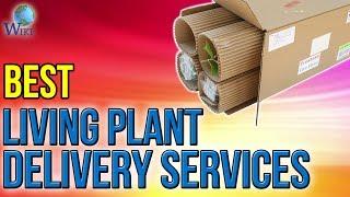 3 Best Living Plant Delivery Services 2017