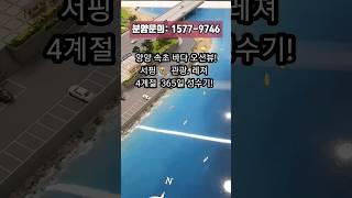 [양양 바다 오션뷰] 서핑 ‍️ 성지 관광 레져 휴양지 1억대 최저가 생활형숙박시설 분양 4계절 성수기 #양양여행 #양양서핑 #속초여행숙소 #낙산해수욕장  #양양생활형숙박시설