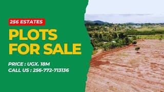 Affordable Land for Sale at Mwera Kakiri Phase V Estate, Hoima Road | 256 Estates Uganda