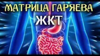 Матрица Гаряева 2025 для ЖКТ ️ Квантовое исцеление звуком ️Оздоравливающая Медитация
