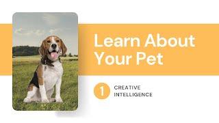 Learn about your pets at WEquil.School