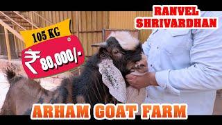 Arham Goat Farm - Ranvel Shrivardhan / kokani baat / junaid deshmukh vlog