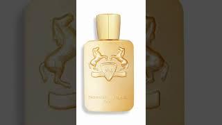 Sexy leather fragrances part 1  #fragrancereview #review #perfume #leather