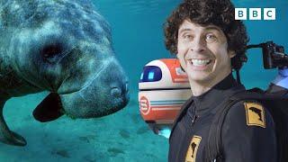 Andy and the Manatees | Andy's Global Adventures | Andy's Amazing Adventures