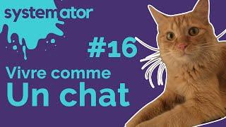 Vivre comme un chat - Systemator #16