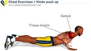 Hindu Push Up For Training Shoulders Triceps And Chest | Fit Nomads | Nomad Workout