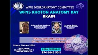 Fibers tracts of the brain and Its importance in Neurosurgery