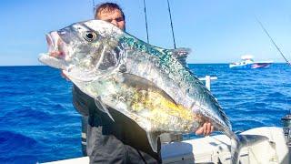 EPIC Offshore Fishing For Monster Fish! (45 Miles Off Tampa Bay)