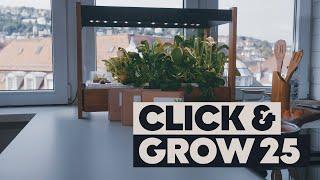 Reviewing The Click And Grow 25 Smart Garden: Is It Worth The Money?