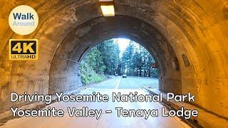 【4K60】 Driving - Yosemite National Park: Yosemite Valley - Tenaya Lodge #1