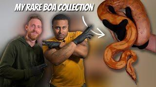 Check Out My Crazy Boa Constrictors! | EP. 34