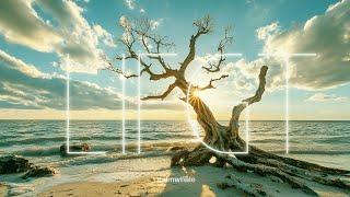 LITHA Gateway ️ Ancient Celebrations: Summer SOLstice  :: Sound Medicine :: June 2025