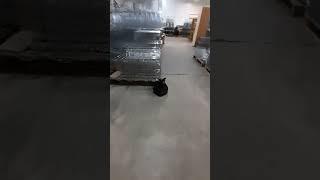 Когда зрение минус 2 Пранк #пранк #заяц #зрение #елки