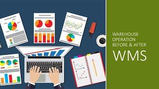 Warehouse Storage Solution|WAREHOUSE OPERATION BEFORE & AFTER WMS | Comparison before & after of wms
