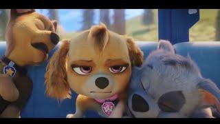 Paw Patrol - Imagine Dragons - Bones - Music Video ~