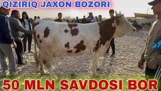 SOG'IN SIGIRLAR G'UNAJINLAR NARXLARI SURXONDARYO QIZIRIQ JAXON MOLBOZORI 22.09.2024